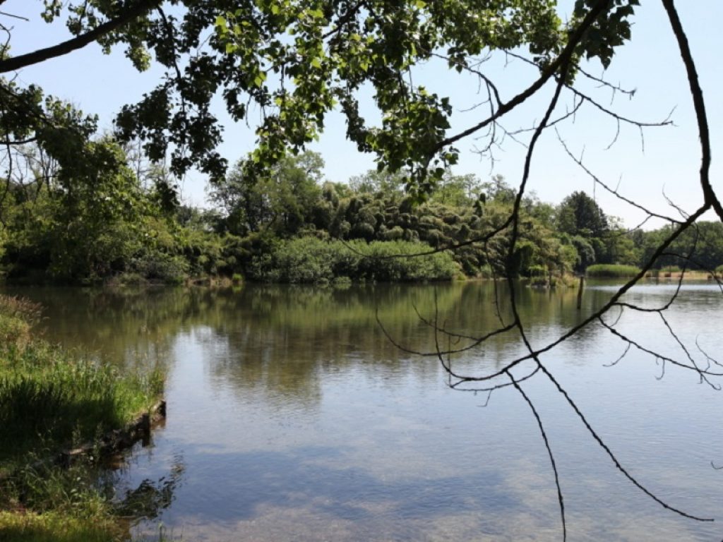 Oggi è la Giornata delle Oasi WWF: dalle visite guidate alle iniziative di citizen science e alla liberazione di animali selvatici tante iniziative