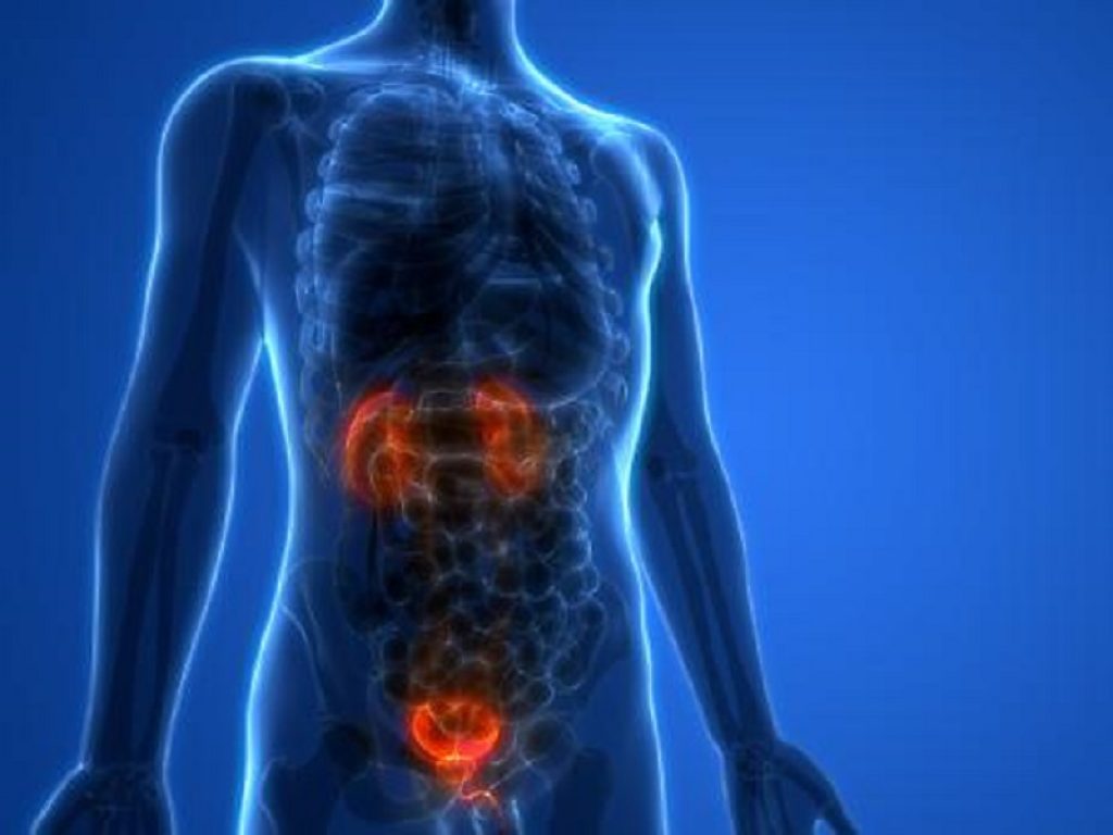 Tumore alla prostata e terapie: i risultati dello studio di fase 3 SPPORT sono stati pubblicati sulla rivista The Lancet