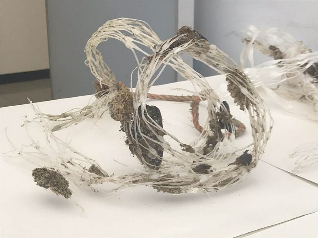 Da ENEA un processo innovativo di riciclo delle retine utilizzate per la produzione delle cozze che permette di trasformarle in nuovi oggetti