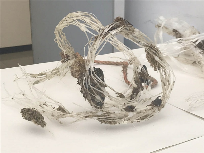 Da ENEA un processo innovativo di riciclo delle retine utilizzate per la produzione delle cozze che permette di trasformarle in nuovi oggetti