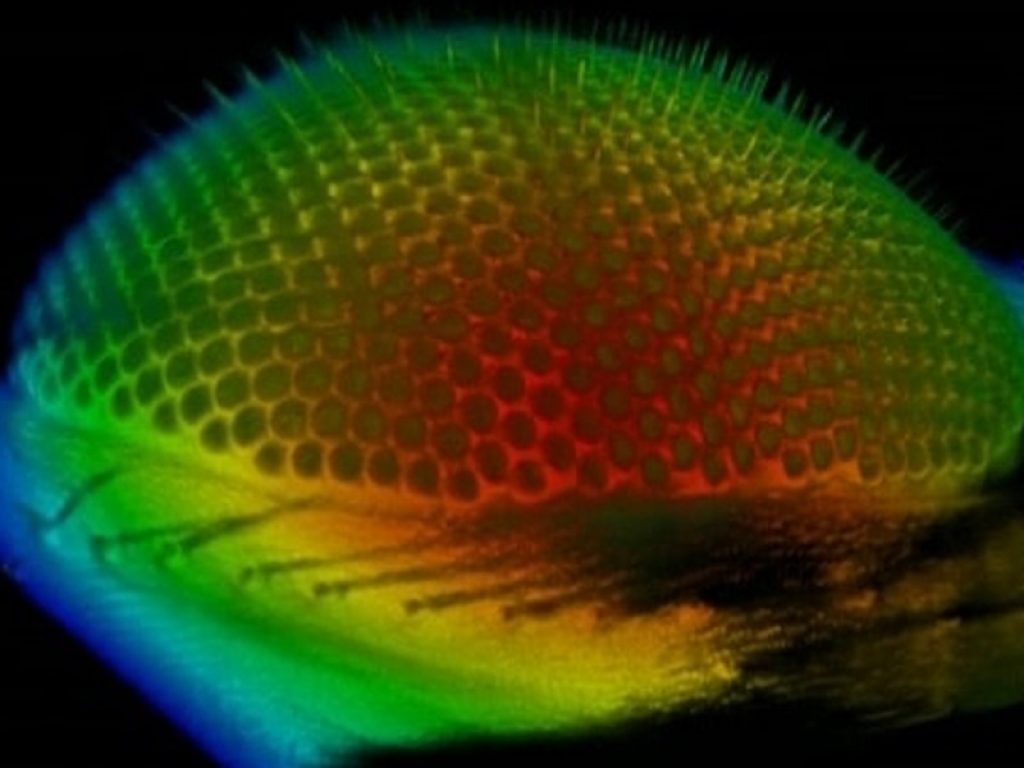 La microscopia confocale consente diagnosi precoci dei tumori della pelle in 10 minuti, non è invasiva e permette di evitare biopsie