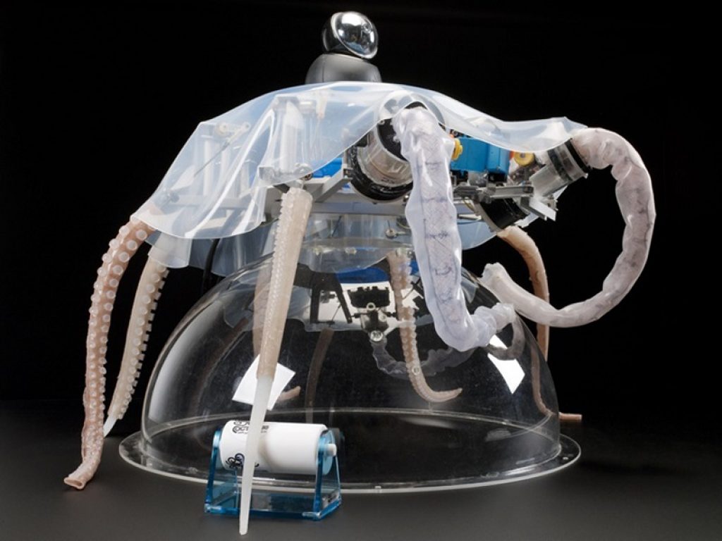 Il 30 giugno le scienziate Cecilia Laschi e Barbara Mazzolai, entrate nella classifica internazionale delle donne geniali della robotica, riceveranno il Premio Carla Fendi