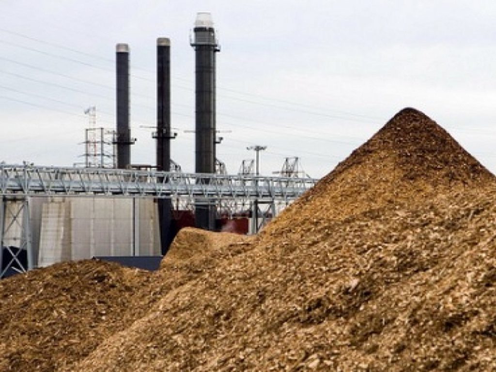 Pubblicato il Position Paper sulle agro energie, elaborato dal Ministero delle Politiche agricole e dal Crea, insieme a Coldiretti, Confagricoltura e Cia