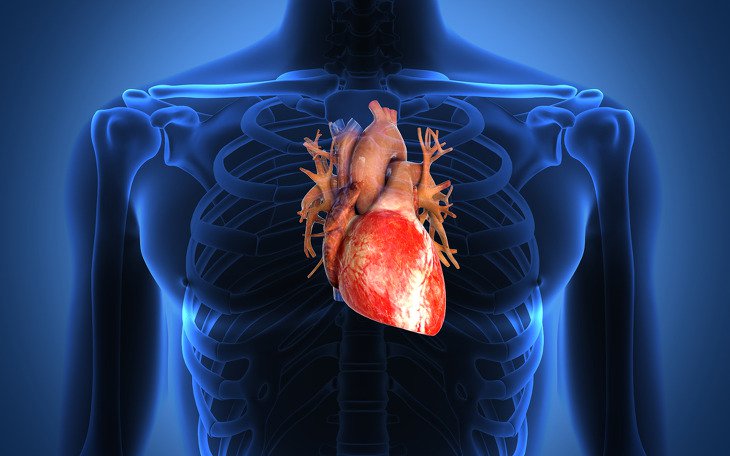 Elevati valori di lipoproteina(a) aumentano il rischio di MACE nei pazienti sia con che senza malattia cardiovascolare aterosclerotica (ASCVD) preesistente
