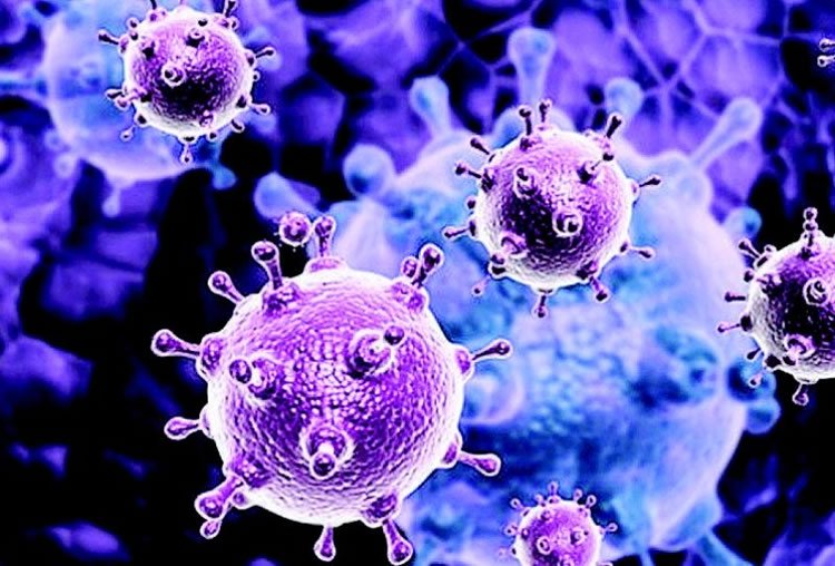 Epatite C, in Italia 180mila pazienti trattati con le nuove terapie: epatologi, infettivologi e internisti in sinergia nella pratica clinica