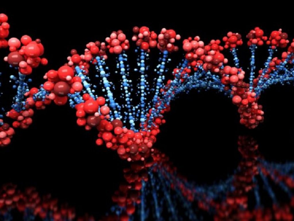 Sindrome di Noonan, un farmaco antitumorale migliora la cardiopatia: in due bambini trattati, l'ipertrofia cardiaca è regredita