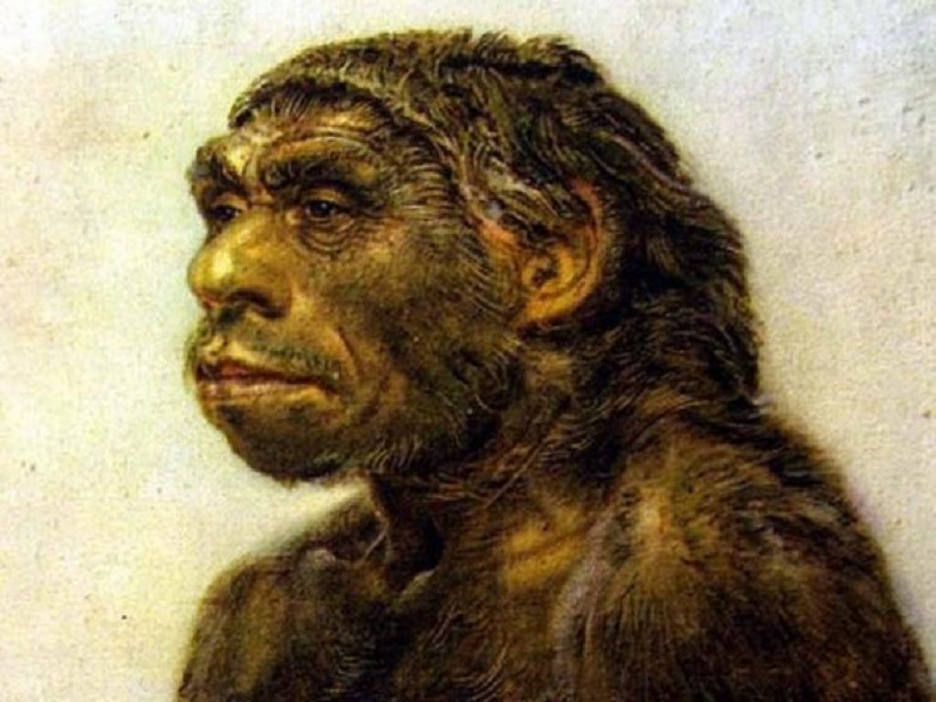 Svelata la causa dell'estinzione dei Neanderthal: quarantamila anni fa durante l’Evento di Laschamp, il campo magnetico terrestre subì un improvviso crollo