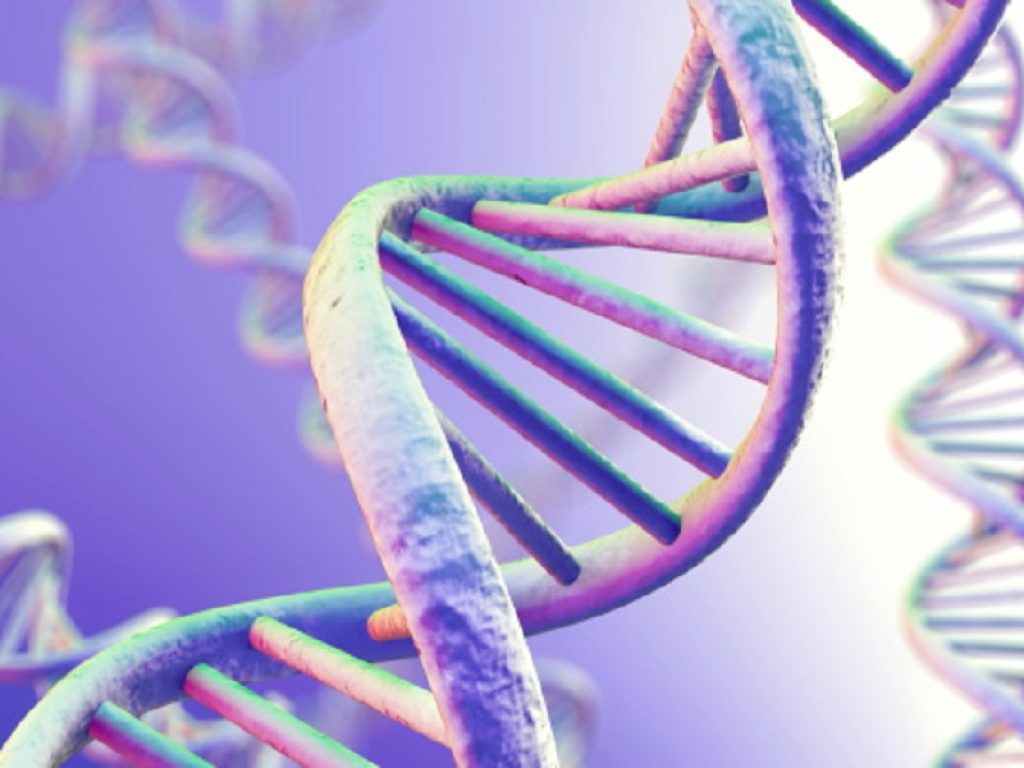 Identificato per la prima volta nella sua complessità un codice inedito del DNA: si tratta di una configurazione simile a un fiore