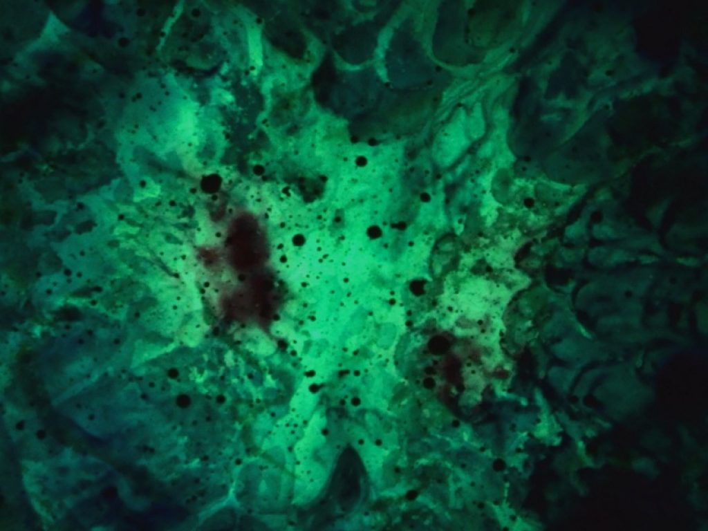 Arte e scienza al CERN di Ginevra con “Searching the Unknown”, mostra personale di Enrico Magnani dal 16 al 26 luglio