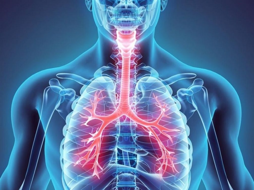 Polmonite pneumococcica: oltre 8mila decessi l’anno tra gli anziani, vaccinazioni ‘al palo’. In un Consensus Paper 12 raccomandazioni per i decisori