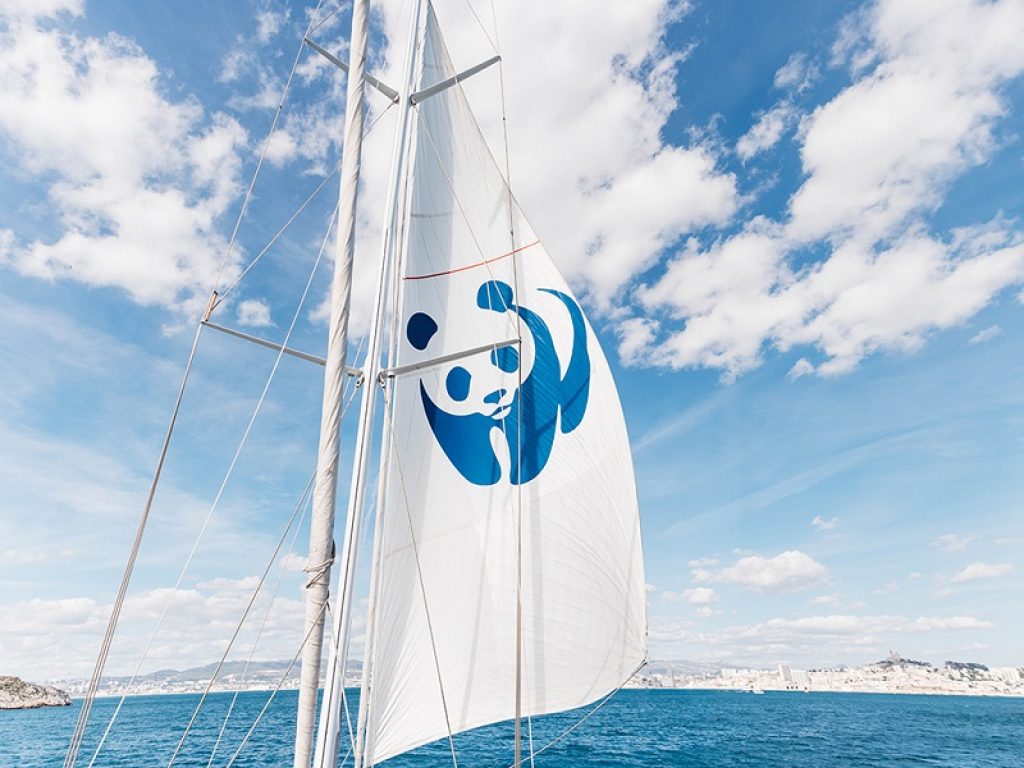 Bozza del PNRR, sconcerto delle associazioni ambientaliste: "Ci sono misure scritte sotto dettatura di ENI, il Governo torni indietro"