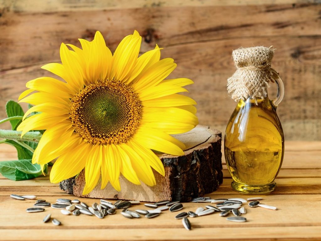 Siglato l’accordo tra Filiera agricola italiana spa (Fdai) e Olitalia per la produzione di olio di girasole 100% italiano tracciato dal campo alla tavola