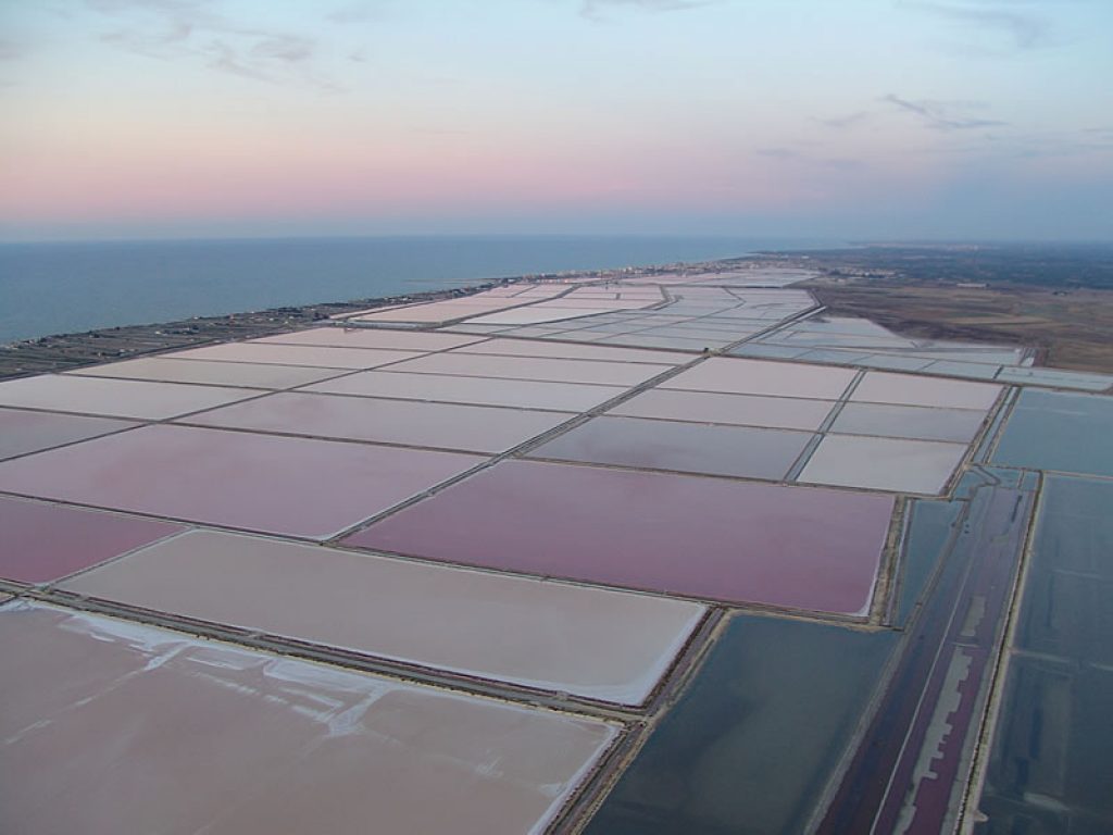 Le Saline di Margherita di Savoia, le più grandi d'Europa, passano ai francesi di Salins du Midi, uno dei più forti gruppi mondiali in Italia dal 1981