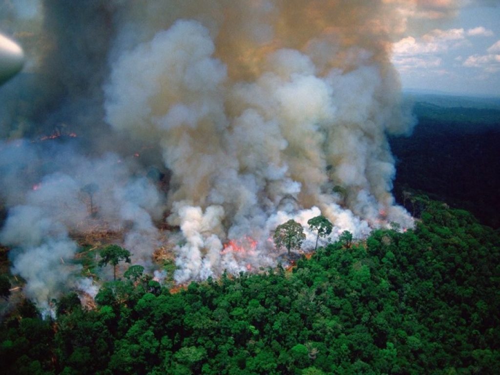 Amazzonia sotto attacco: brucia il polmone verde del Pianeta. Multinazionali dell’agricoltura e grandi allevamenti indiziati principali per i roghi
