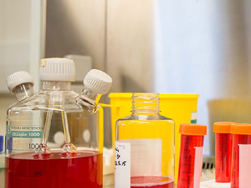 Inibitore di BRAF di nuova generazione promettente in diversi tipi di tumore secondo uno studio clinico preliminare presentato al 32° EORTC-NCI-AACR Symposium