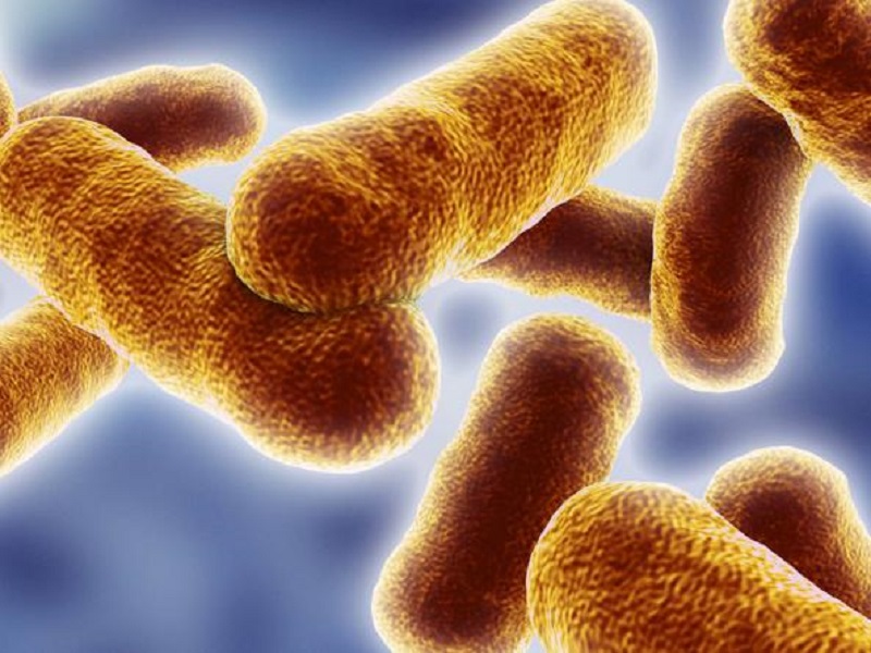 Nei pazienti con tubercolosi resistente alla rifampicina, il trattamento per 24 settimane con un nuova combinazione di molecole ha dato buoni risultati