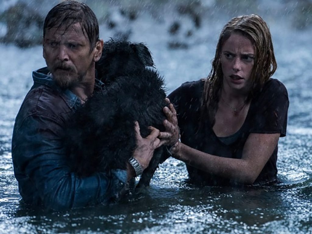 Tornano gli Happy Days nei cinema The Space: ogni lunedì e martedì un film al prezzo speciale di 3,50 euro. Stasera in programmazione Crawl-Intrappolati, il claustrofobico horror