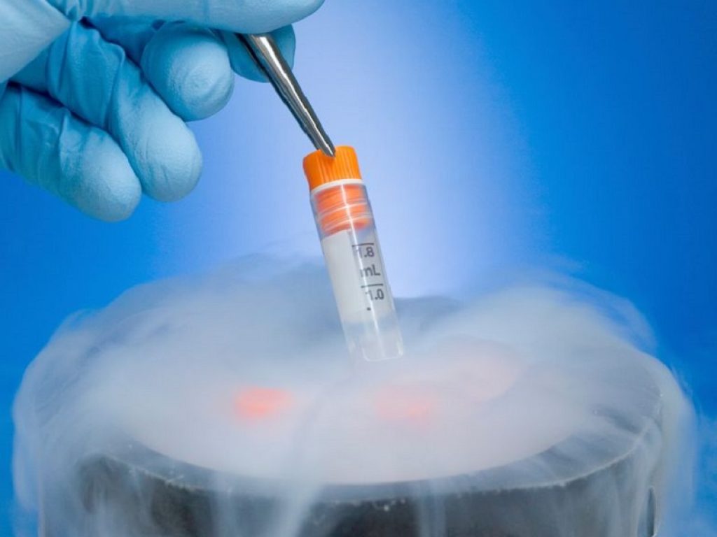 I trattamenti per il tumore al testicolo possono danneggiare, per un tempo provvisorio o in maniera permanente, la fertilità: un aiuto dalla crioconservazione