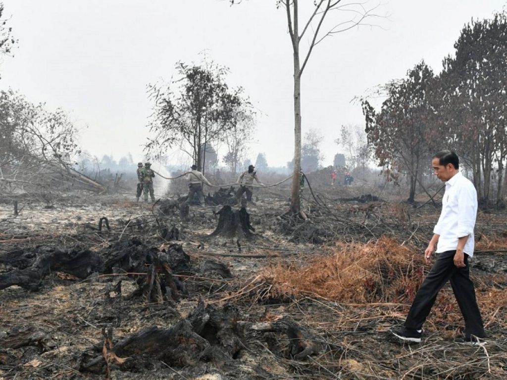 In Indonesia gli incendi di foreste e torba nel Kalimantan e a Sumatra fanno scattare l'allarme inquinamento. UNICEF: 10 milioni di bambini a rischio