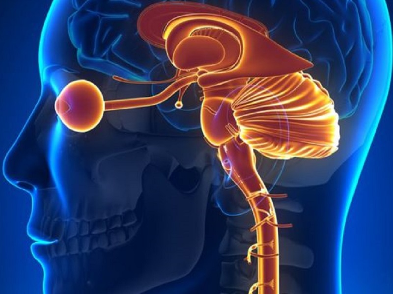 La Commissione europea ha approvato inebilizumab come monoterapia per il trattamento di pazienti adulti con disturbo dello spettro della neuromielite ottica