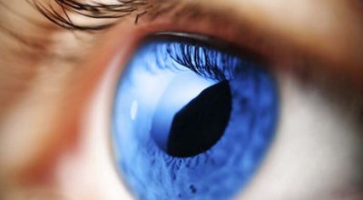 Il Comitato per i medicinali per uso umano ha adottato un parere positivo per faricimab, destinato al trattamento della degenerazione maculare neovascolare legata all'età