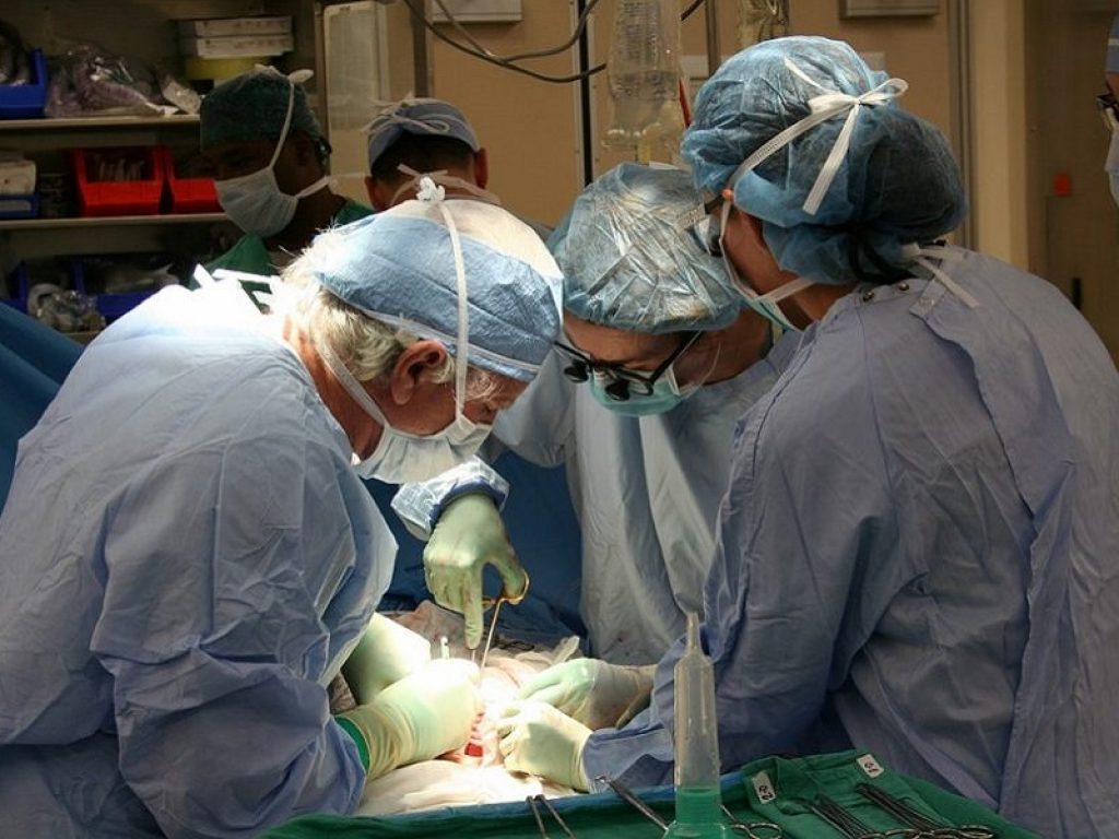 Niguarda Transplant Center: l’ospedale si conferma la "grande casa dei trapianti". Il Centro ha eseguito il maggior numero di trapianti di cuore