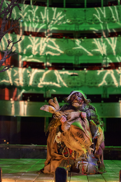 Stefano Rota in "Arlecchino e l'anello magico"