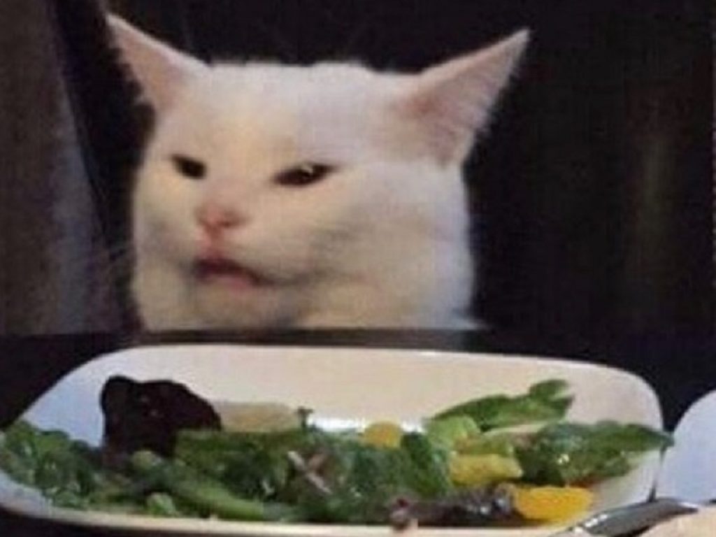 Smudge, il popolare gatto di "Woman Yelling At A Cat" ha quasi 1 milione di follower su Instagram. Il micio dei meme non ama le verdure