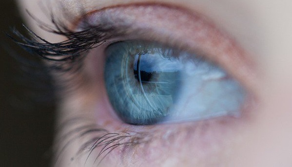 Fronteggiare glaucoma e maculopatie: l'importanza di diagnosi precoce e nuove terapie. Oggi si celebra in tutto il mondo la Giornata della Vista