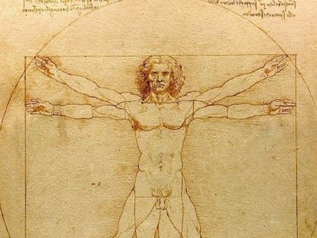 Sì al prestito dell’Uomo Vitruviano al Louvre. Il Tar respinge il ricorso di Italia Nostra, Franceschini: "Accordo tra musei"