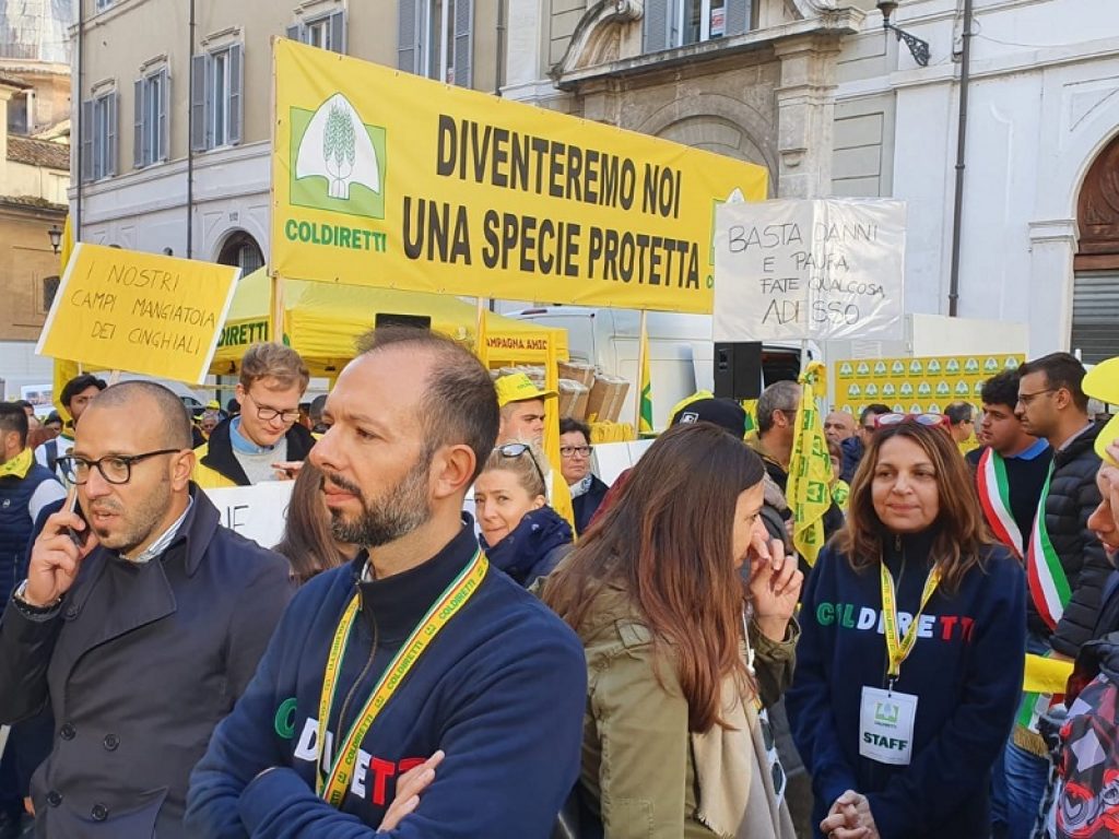 Emergenza cinghiali in Italia: dai danni a boschi e coltivazioni agli incidenti stradali. Manifestazione davanti a Montecitorio per chiedere provvedimenti