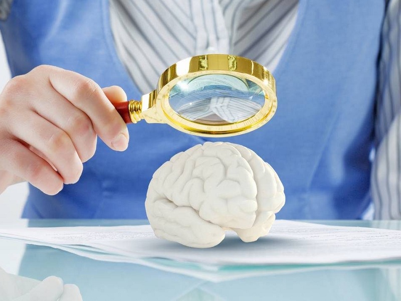 Ipermemoria, uno studio italiano pubblicato sulla rivista Cortex ha svelato il meccanismo che ordina i ricordi. Si aprono porte per la neuroriabilitazione