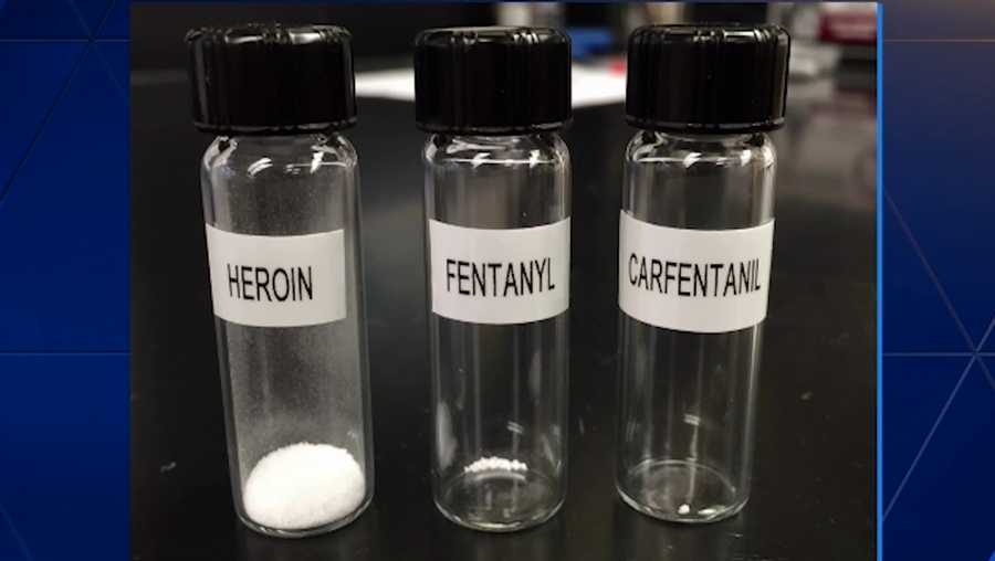 Fentanyl illegale, negli Usa l’allarme continua: 75mila decessi solo nell’ultimo anno. Quando viene mischiato con le droghe i suoi effetti sono devastanti