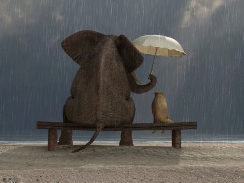 Oggi si celebra la Giornata Mondiale della Gentilezza: gli esperti spiegano l’immenso valore e come può infondere un profondo senso di benessere