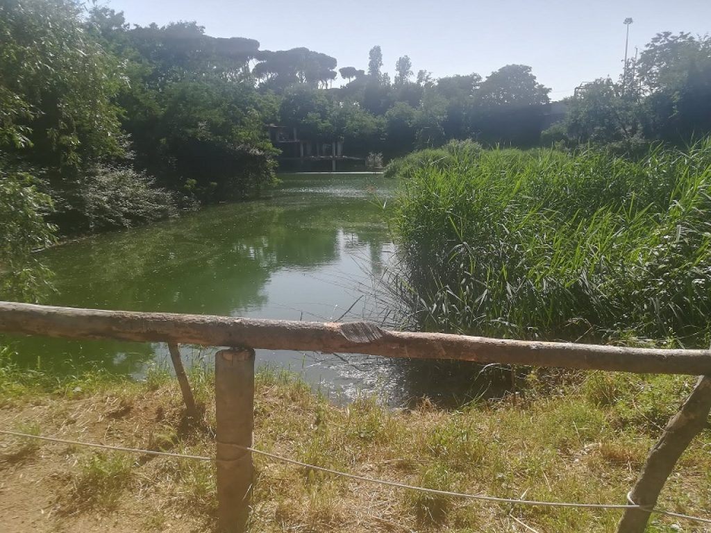 Il Lago ex Snia di Roma diventa monumento naturale: lo ha deciso il Presidente della Regione Lazio Nicola Zingaretti