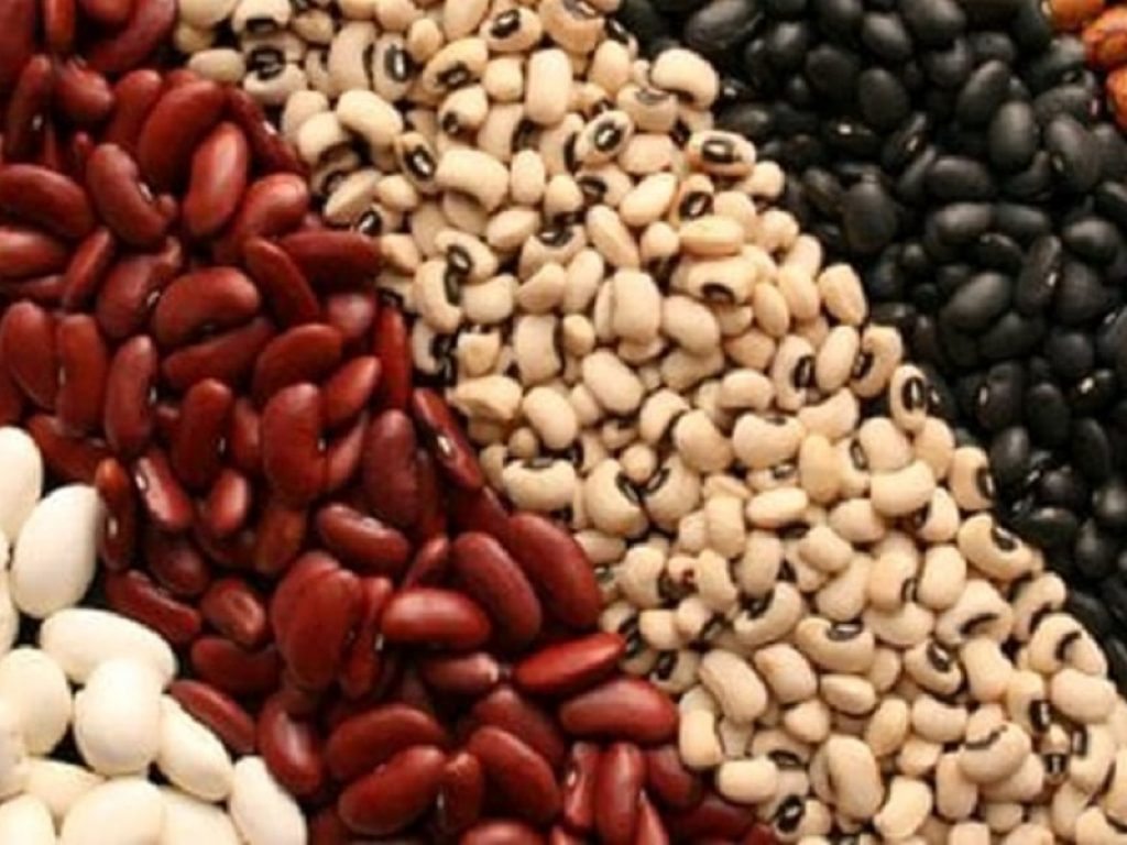 Via libera al consumo di legumi per chi ha la glicemia alta: possono anche essere una buona fonte di proteine di origine vegetale