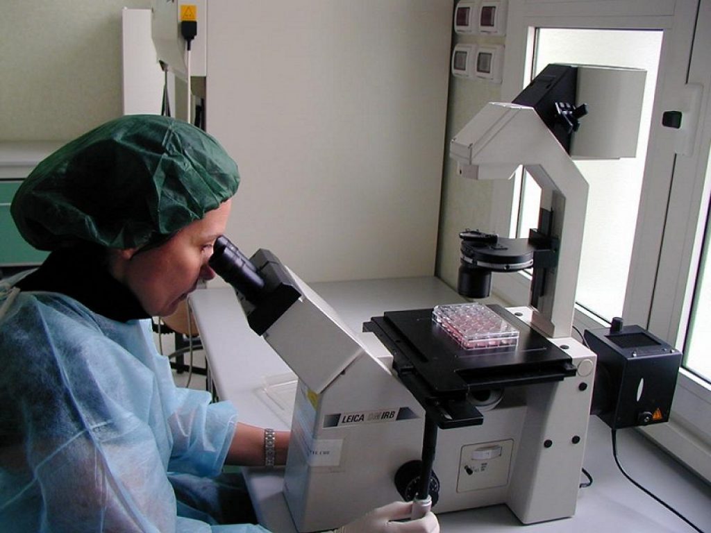 Ricerca offre un quadro completo dello stato dell’arte della ricerca sul funzionamento dello spliceosoma, macchinario molecolare che consente la sintesi proteica