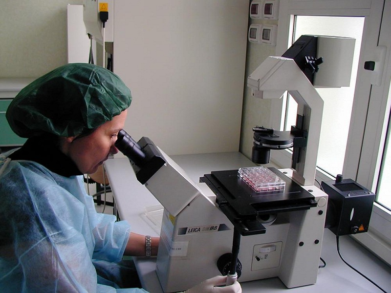 Ricerca offre un quadro completo dello stato dell’arte della ricerca sul funzionamento dello spliceosoma, macchinario molecolare che consente la sintesi proteica