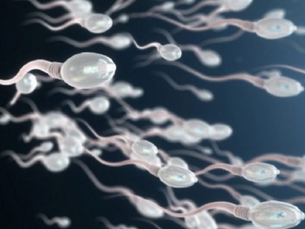 I cambiamenti climatici impattano sul DNA dello sperma: a fare il punto sulla questione è Andrea Garolla, professore di Endocrinologia 