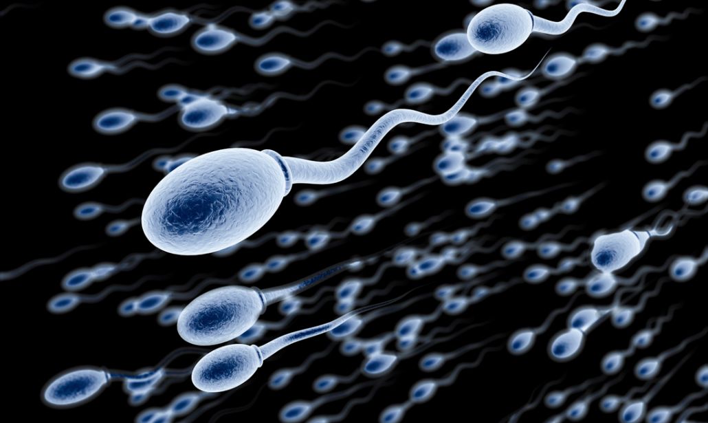 liquido seminale sperma