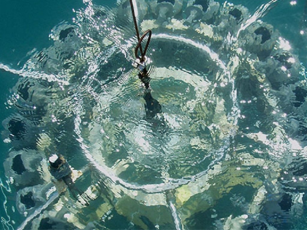 Prorogata fino al 31 marzo 2020 la mostra scientifica Aquae. Il futuro è nell'oceano all'Istituto di scienze marine (Ismar) del Cnr di Venezia