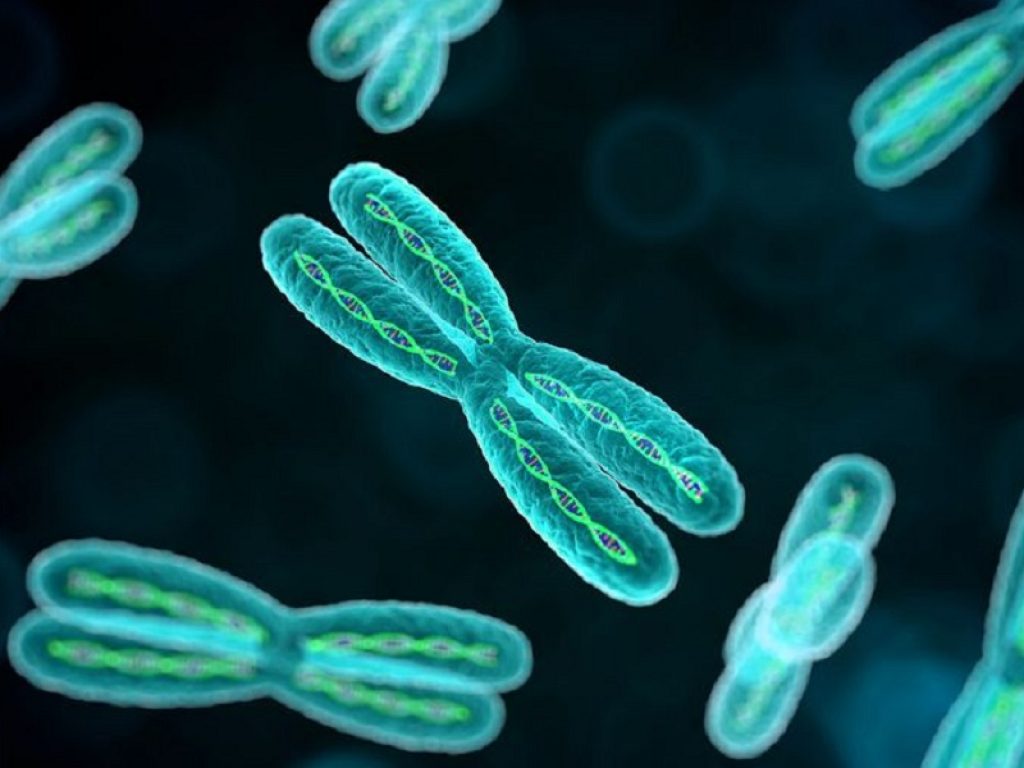 Ipofosfatemia legata all'X: dal CHMP parere favorevole all’estensione d’uso di burosumab. Raccomandato l'impiego anche negli adolescenti e negli adulti