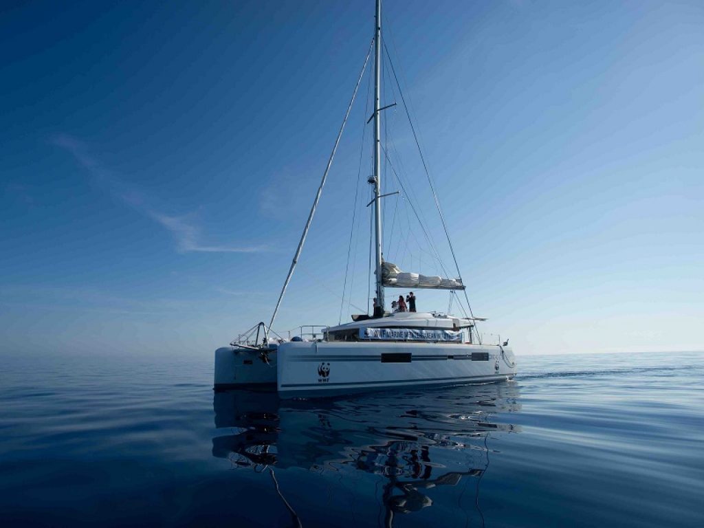 WWF Travel vince il Premio Turismo Responsabile Italiano nella categoria Tour Operator con il progetto Crociera Santuario Pelagos