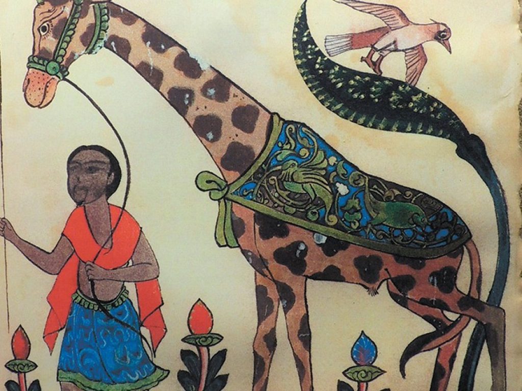 Al-Jahiz, un dotto islamico originario dell'Africa orientale, scrisse circa 200 libri e trattati tra cui la teoria dell'evoluzione darwiniana