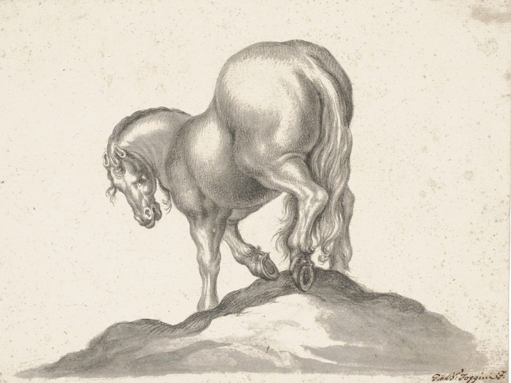 I disegni di Giovambattista Foggini e Baldassarre Franceschini acquistati dai Friends of Florence a New York per le Gallerie degli Uffizi: tra questi il Cavallo appartenuto alla first lady statunitense Jackie Kennedy