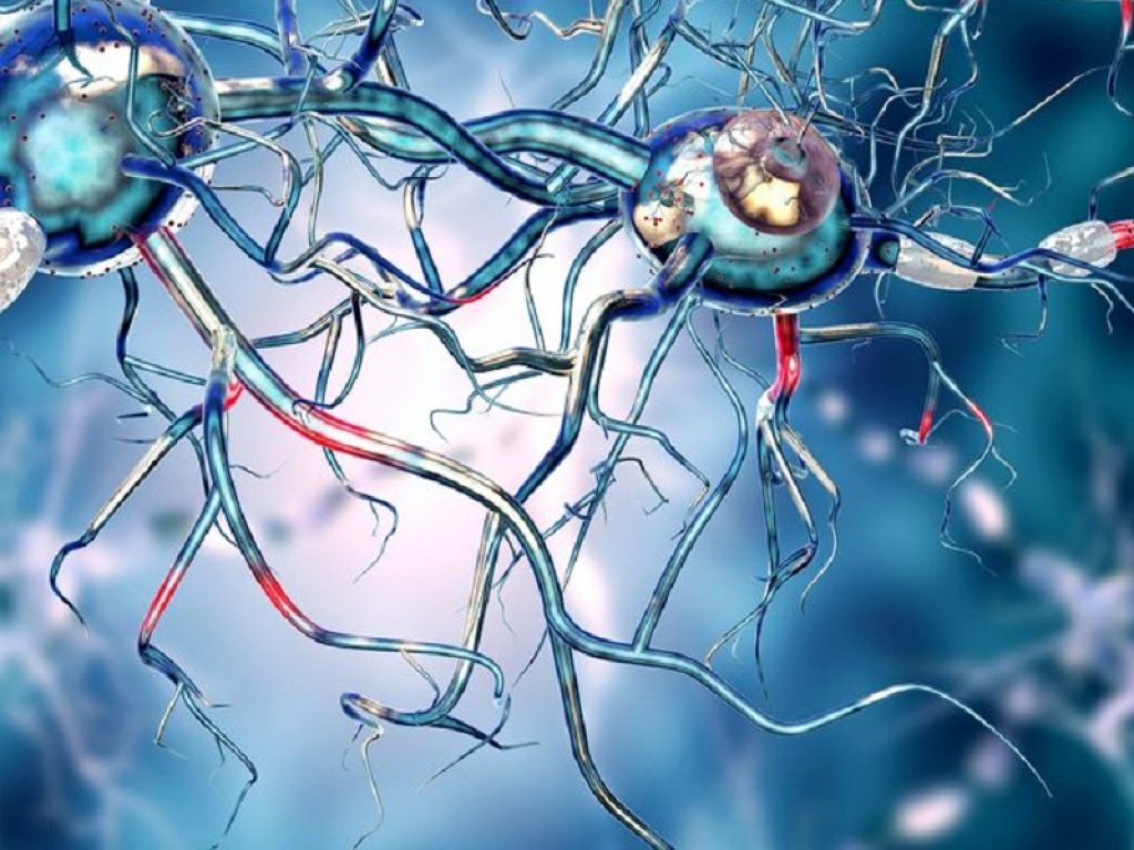 Ceroidolipofuscinosi neuronali