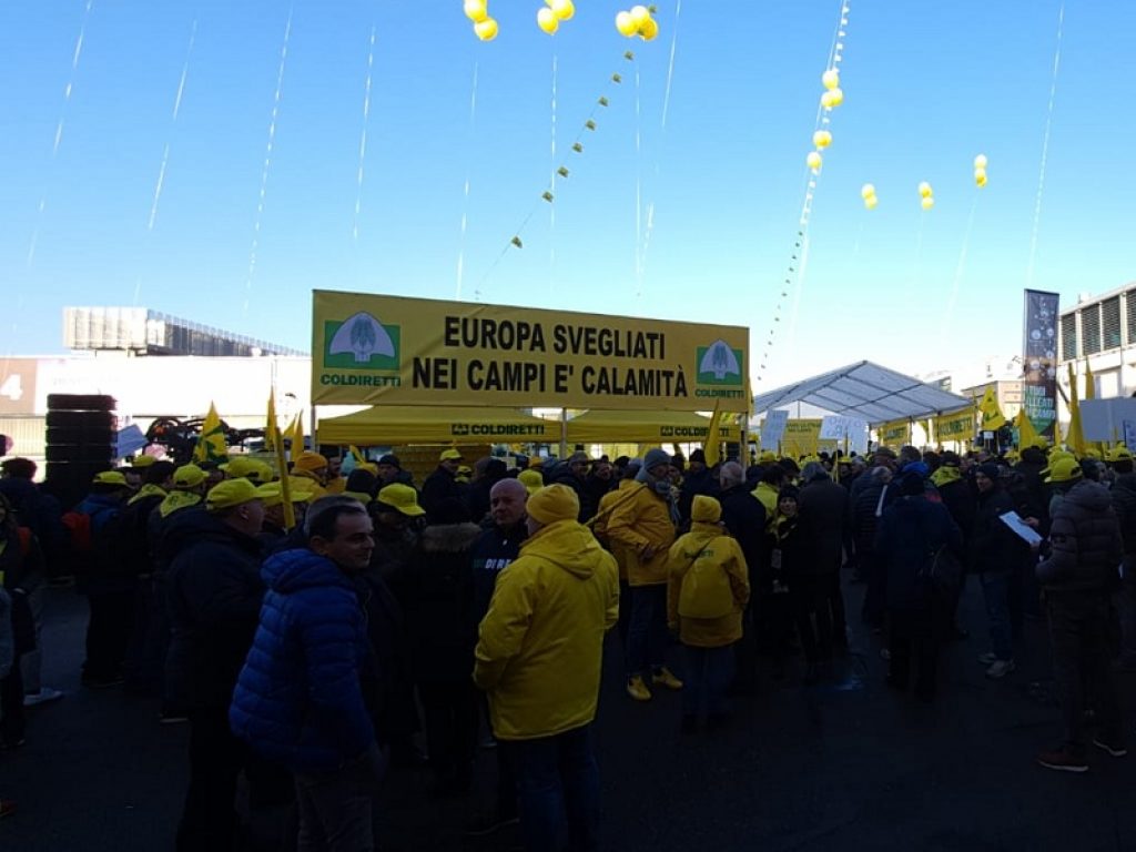 Dalle pere ai kiwi la cimice asiatica devasta i raccolti: 48mila aziende in difficoltà, gli agricoltori della Coldiretti scendono in piazza