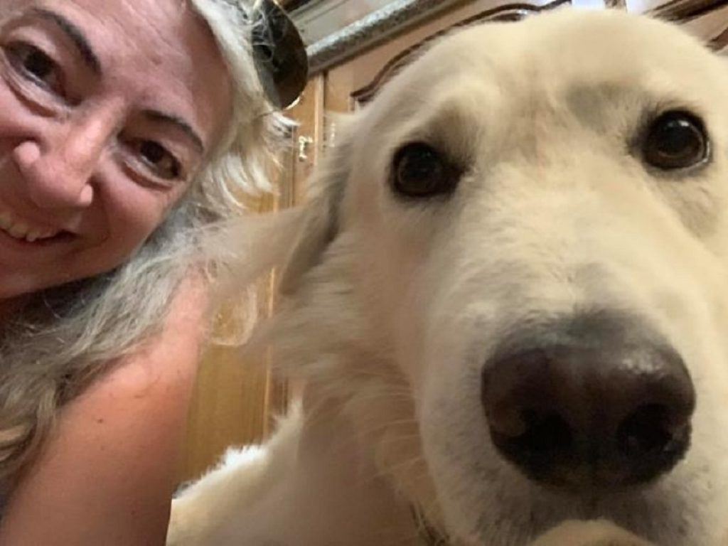 Mano, il cane legato e gettato in un fiume in Sardegna, ce l'ha fatta: la sua storia è raccontata nel libro di Monica Pais della clinica veterinaria Duemari