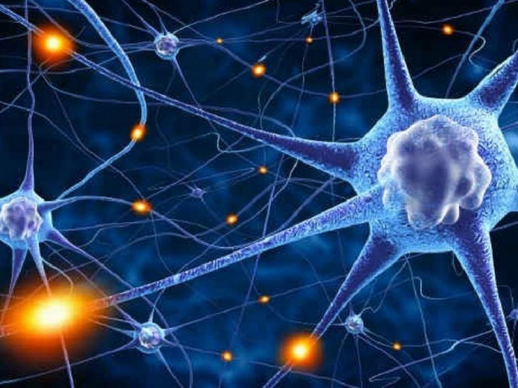 Alzheimer: pronto il primo neurone artificiale su microchip realizzato anche da ricercatori italiani e testato in laboratorio e in vivo sui ratti