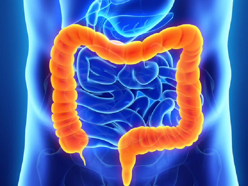 Identificati due marcatori che inducono le cellule staminali tumorali del colon a sviluppare metastasi. Lo studio condotto dall’Istituto di genetica e biofisica “Adriano Buzzati Traverso” del Cnr di Napoli apre la strada a nuove terapie